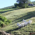 Eremo Gioioso 度假居 *
